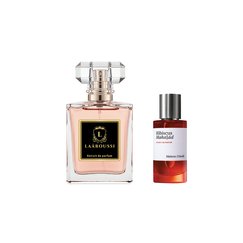 Hibiscus Mahajâd Maison Crivelli
